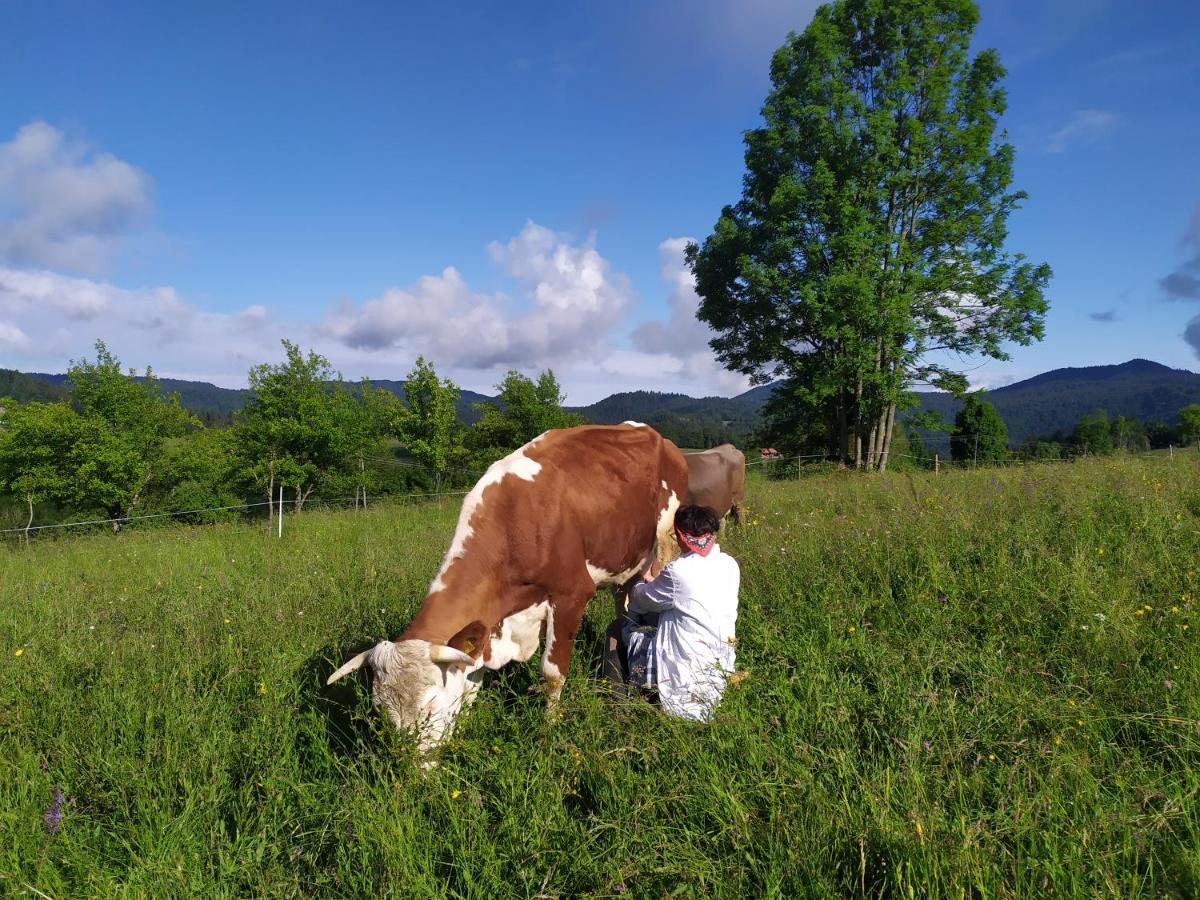 Tourist Farm Strle With Great Local Food Villa Cerknica Exterior foto