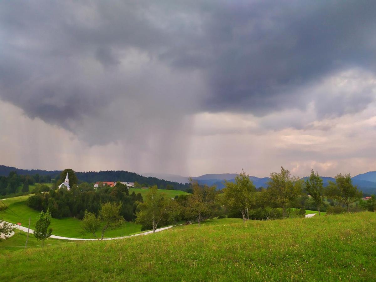 Tourist Farm Strle With Great Local Food Villa Cerknica Exterior foto