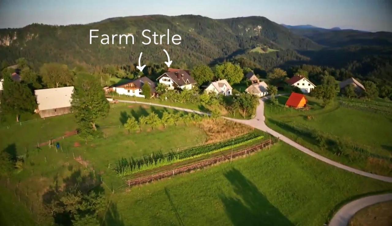 Tourist Farm Strle With Great Local Food Villa Cerknica Exterior foto