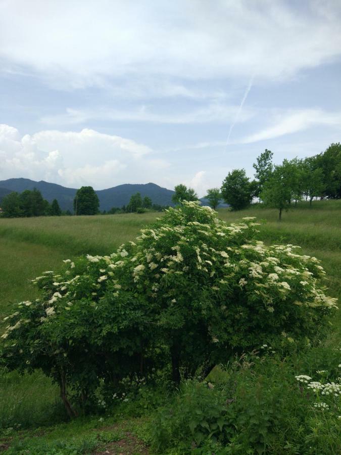 Tourist Farm Strle With Great Local Food Villa Cerknica Exterior foto