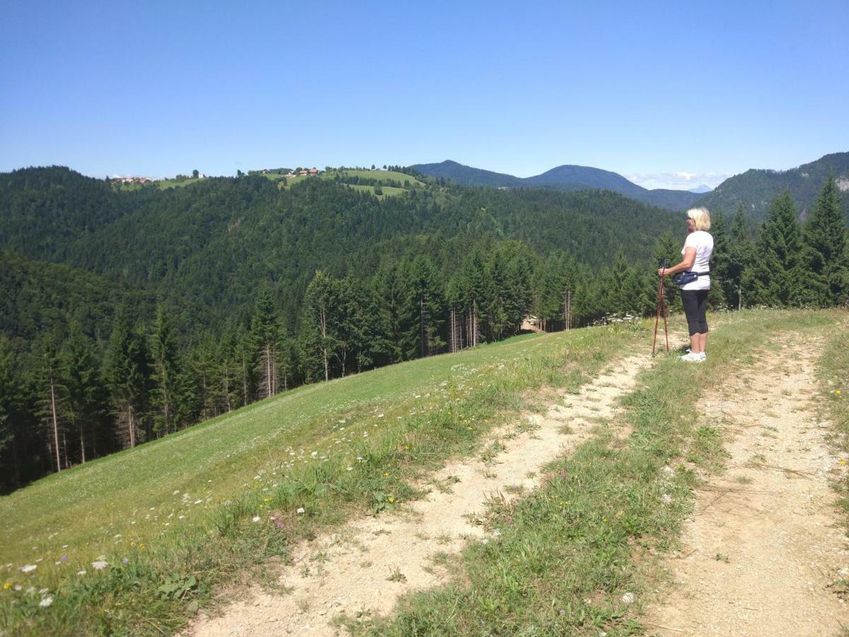 Tourist Farm Strle With Great Local Food Villa Cerknica Exterior foto