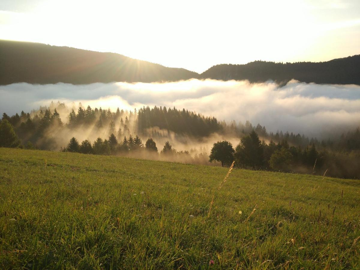 Tourist Farm Strle With Great Local Food Villa Cerknica Exterior foto